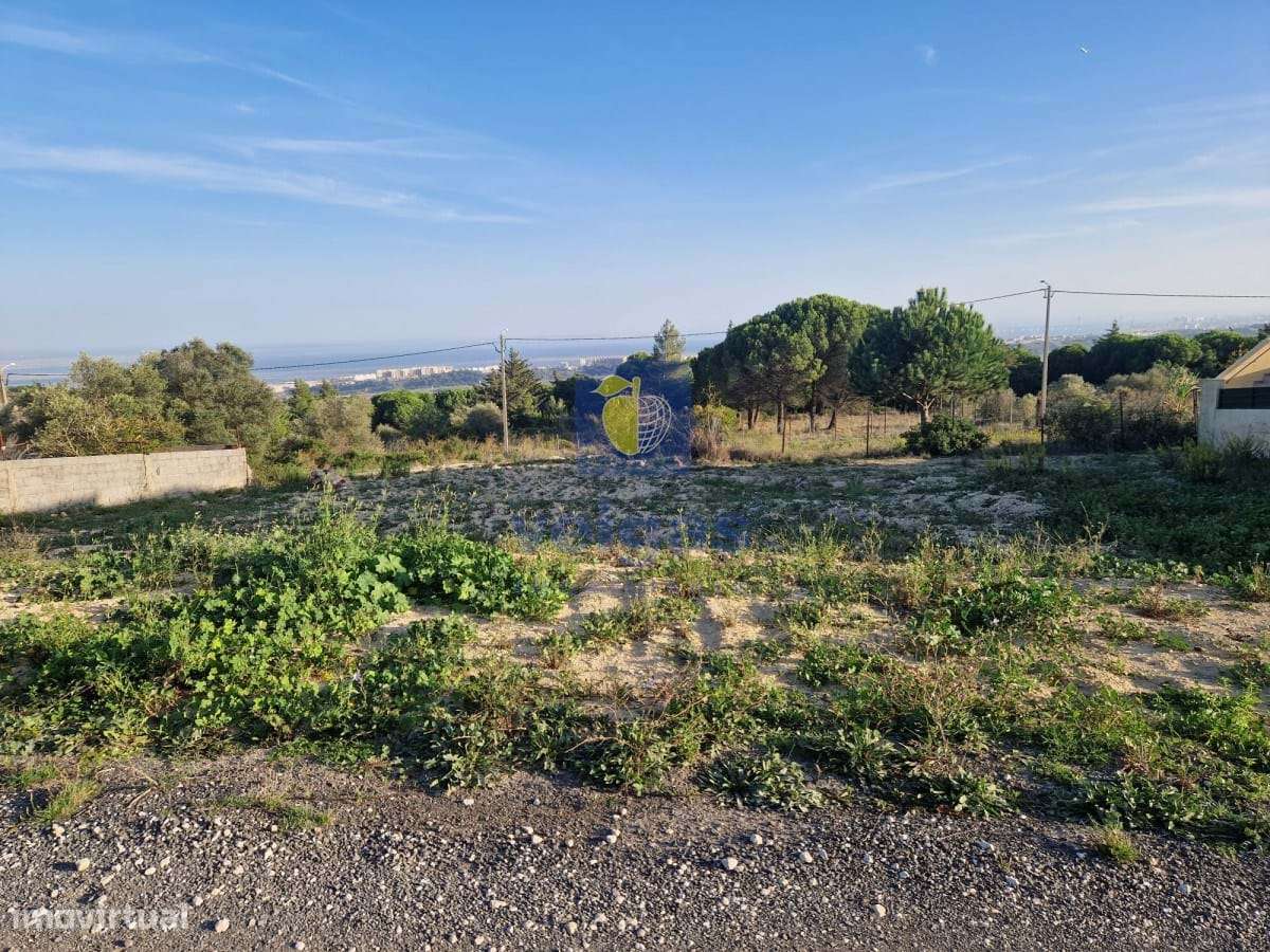 Terreno Vialonga - Grande imagem: 5/35