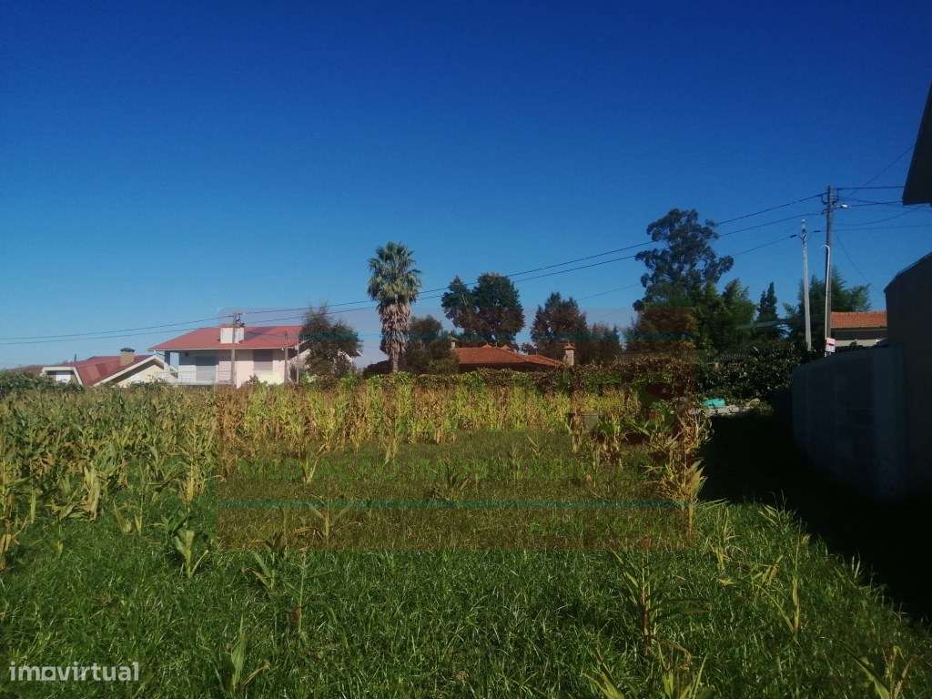 TERRENO P/ CONSTRUÇÃO - LOBÃO - Grande imagem: 5/5