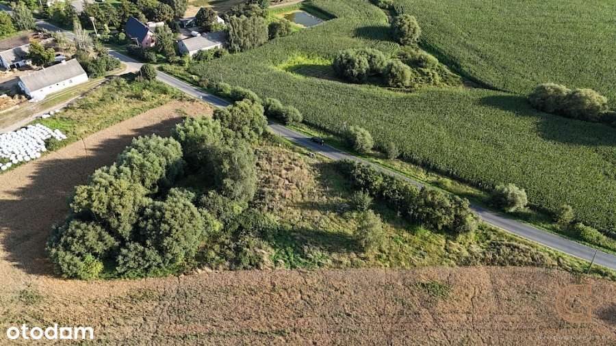 Działka budowlana 3614 m2 - Biechówko! - Pełny obrazek: 4/9