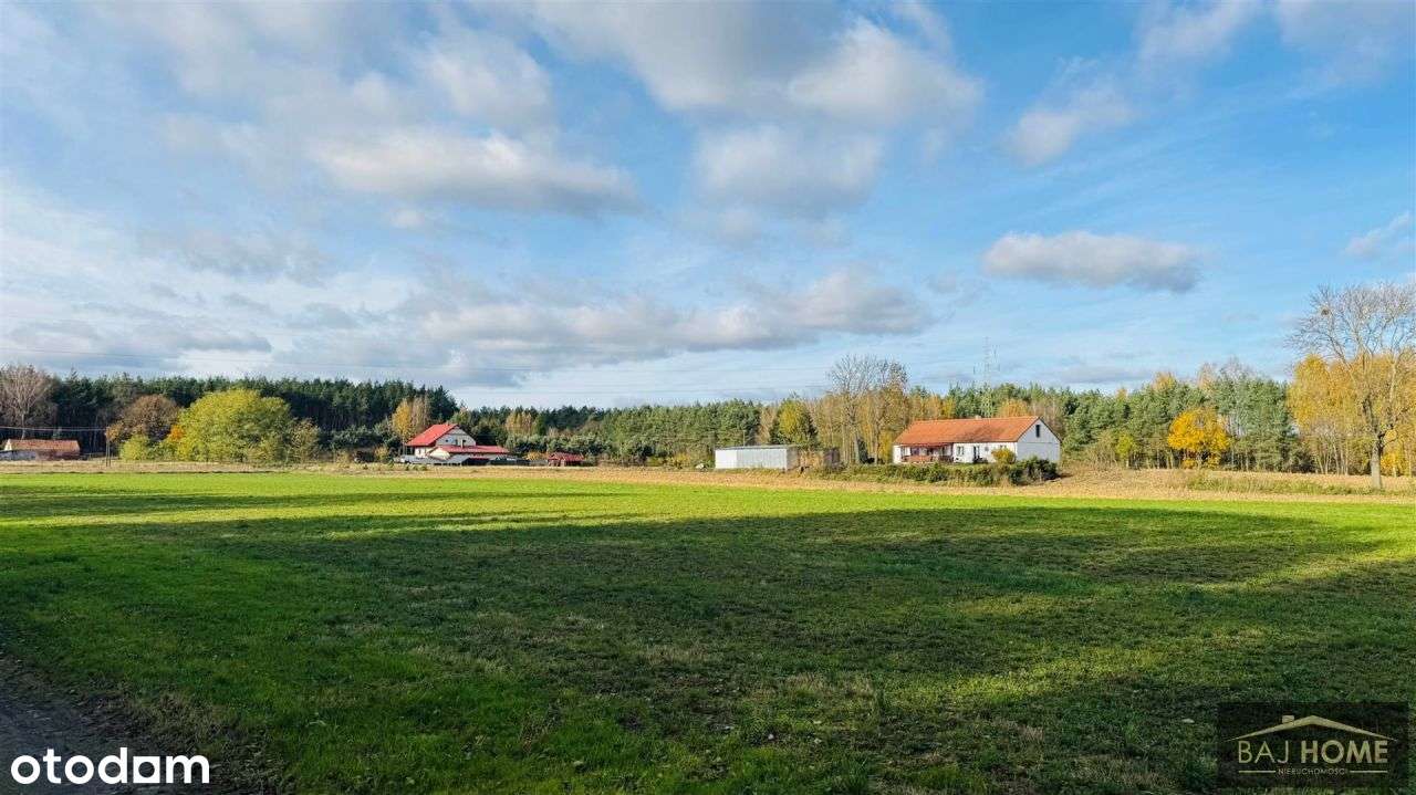 Urokliwa działka przy lesie w Dolnej Grupie - Pełny obrazek: 4/12