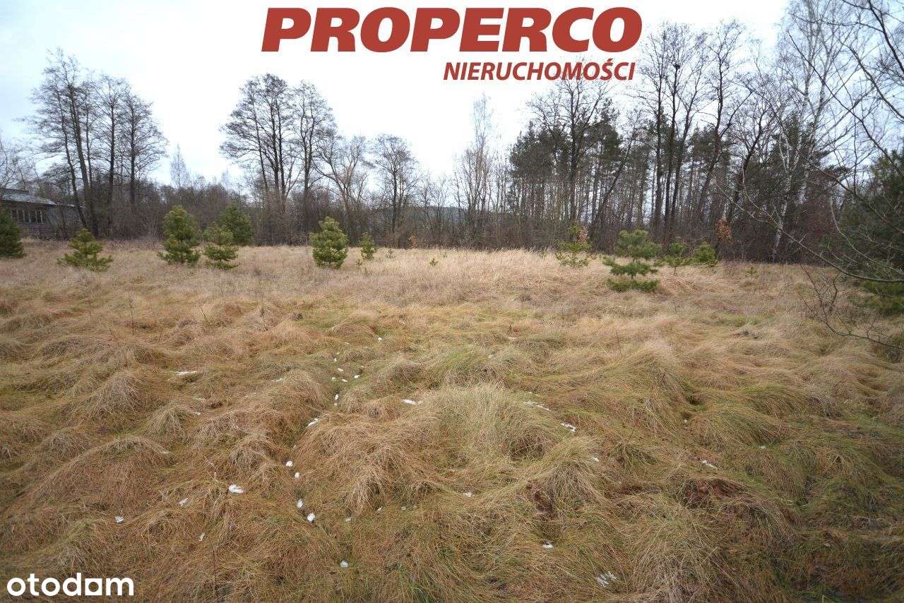 Działka 3413m2, Danków-Wójtostwo, Daleszyce - Pełny obrazek: 4/5