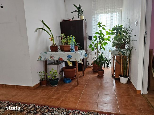 Vila cu garaj si teren 500 mp capat Nicolina Horpaz Editurii-6