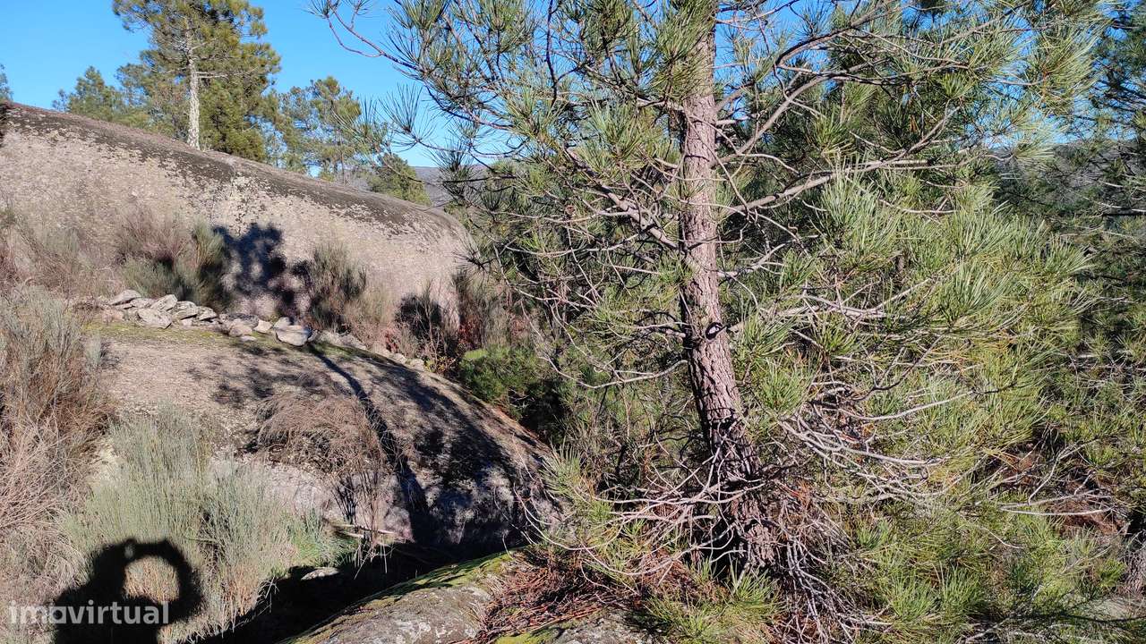 Quinta com vista deslumbrante para a Serra da Estrela 17500€-21