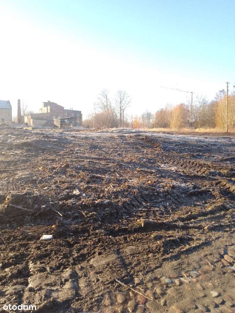 Działka mieszkalno-usługowa, 8km do morza - Pełny obrazek: 4/6