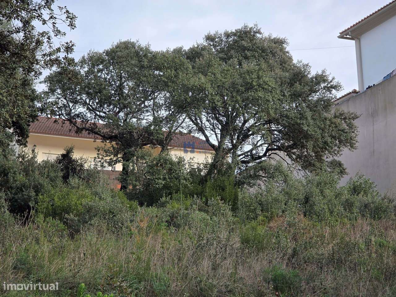 Lotes de terreno em Minde-17