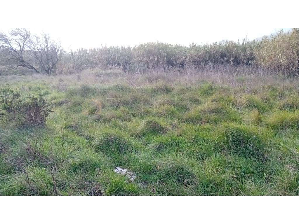 Terreno rústico com Furo de Água | Infraestruturas | Associação de ...-6