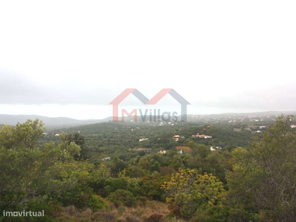 Terreno com ruína - Santa Barbara de Nexe - Grande imagem: 2/4