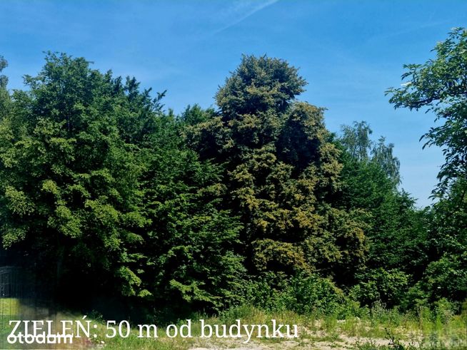 3+1 pokoje strych, duży ogród segment narożny! - najlepszy, garaż