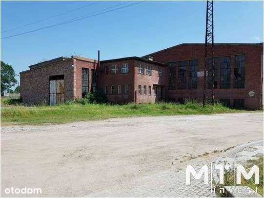 Działka, 20 145 m², Strzegom-10