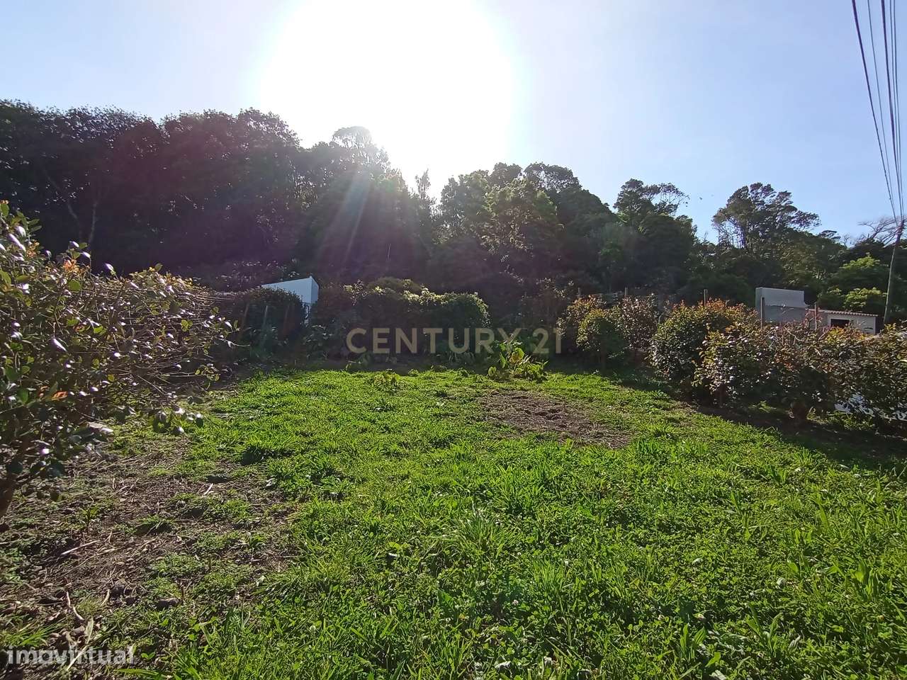 Terreno com Vista Campestre em Guadalupe, Graciosa-3