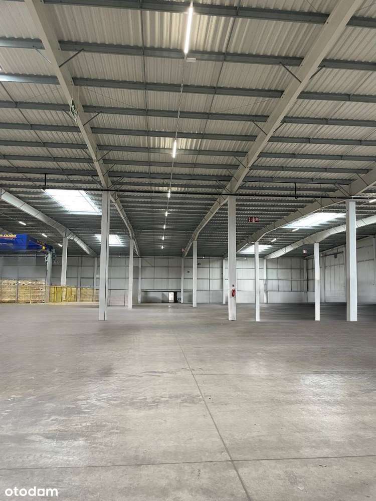 Hala magazynowo produkcyjna Bytom Odrzański - Pełny obrazek: 4/5