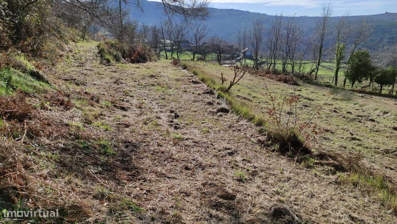 Terreno Rústico  Venda em Gouveia (São Simão),Amarante-8