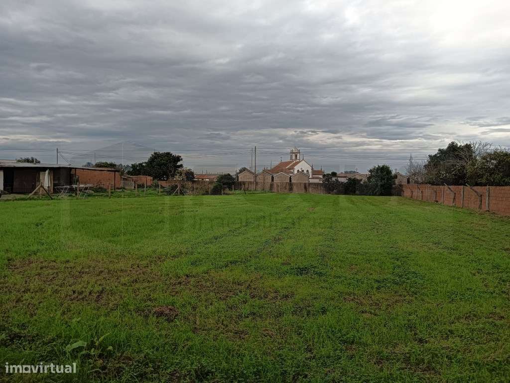 Terreno com 32m de frente Estarreja - Centro - Grande imagem: 5/13
