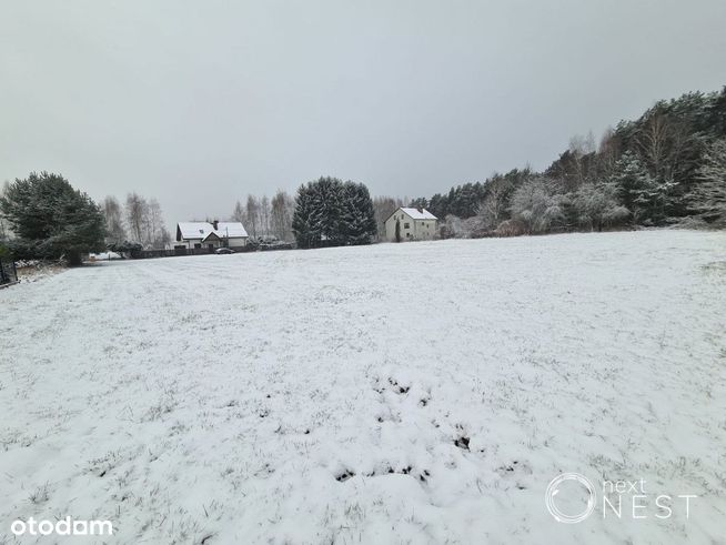 Nieporęt Aleksandrów działka dla dewelopera 13256m