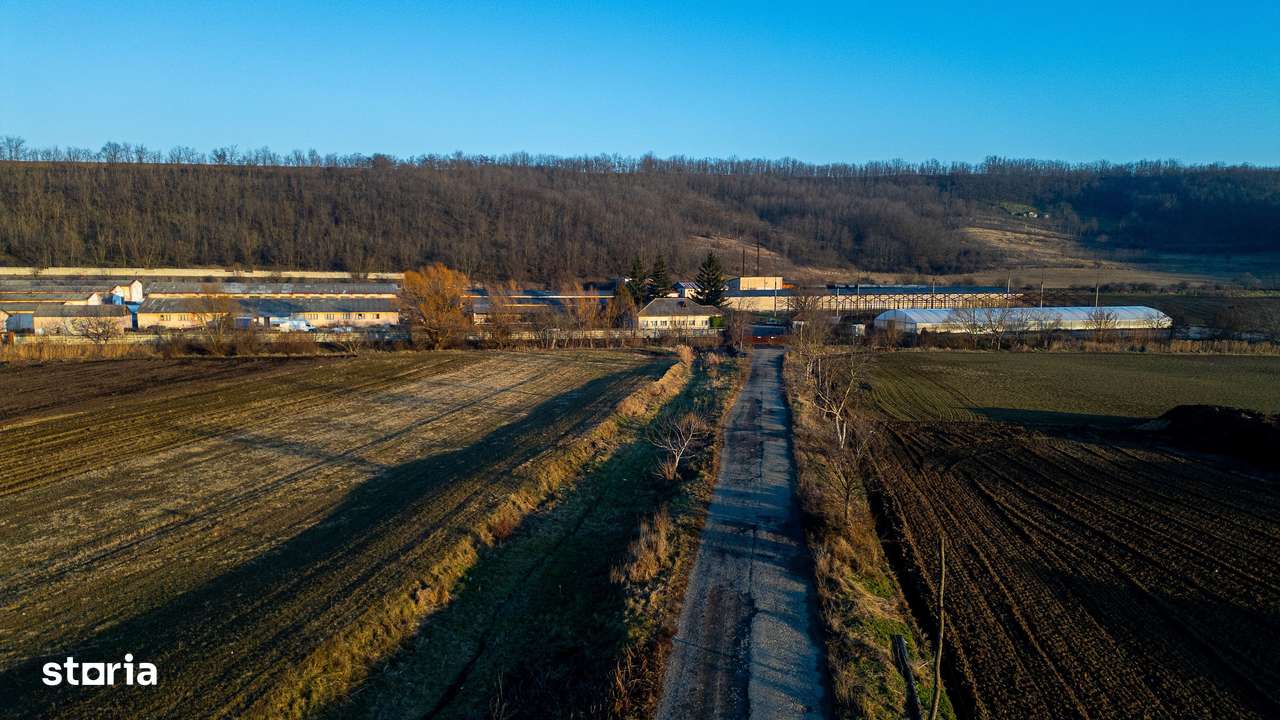Fosta Ferma a Partidului de la Horgesti - de vanzare - Imagine principală: 5/20