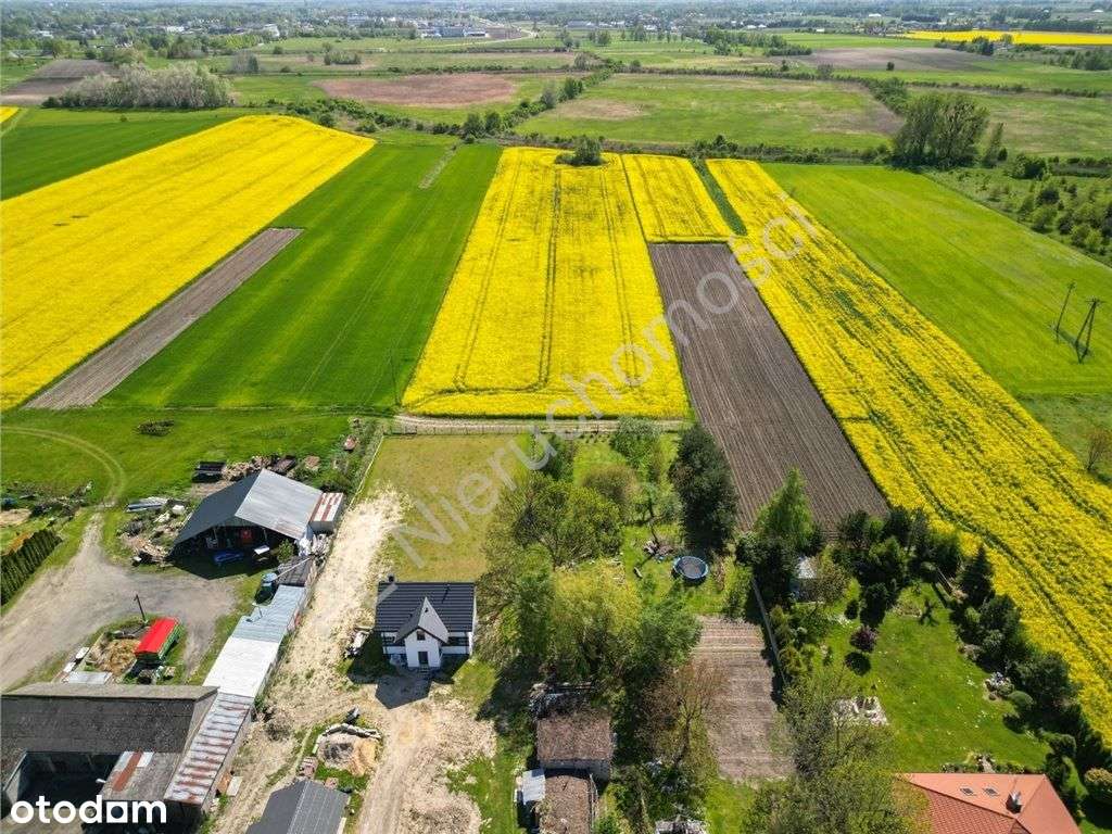 Działka, 3 600 m², Chlebnia - Pełny obrazek: 5/15