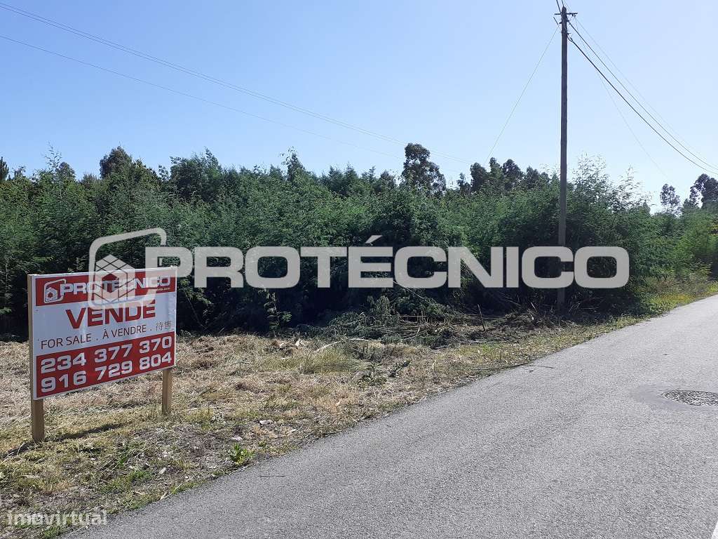 Terreno c/ 7.300m2 – Azenhas de Baixo - Grande imagem: 2/13