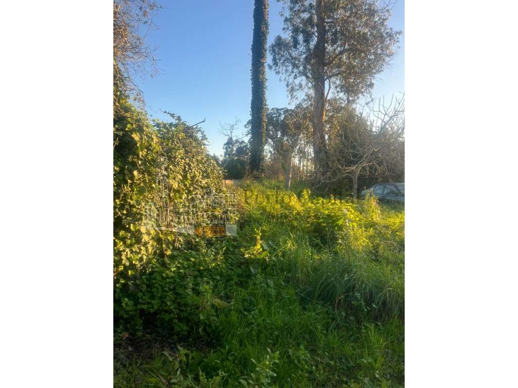 EXCELENTE TERRENO COM VIABILIDADE DE CONSTRUÇÃO - Grande imagem: 4/20