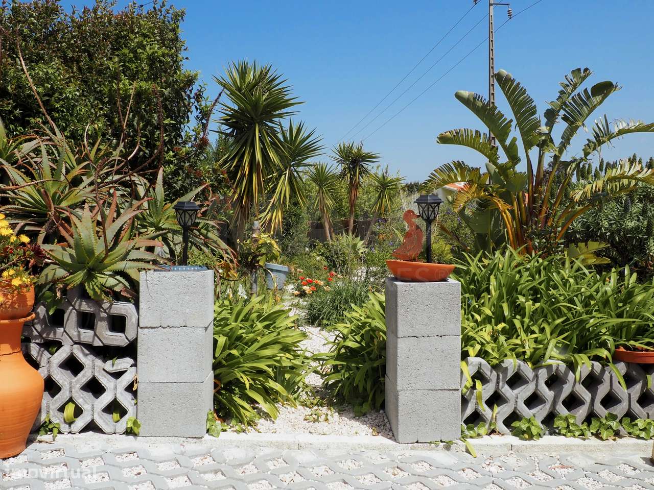 Moradia T2 na Cela com um excelente espaço exterior - Grande imagem: 5/31