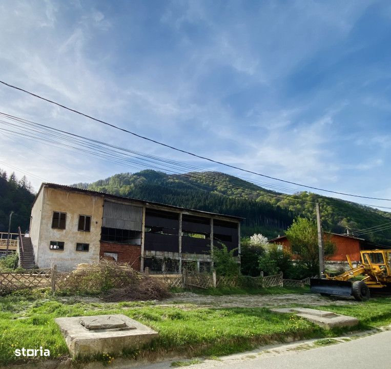 Teren cu hala industriala veche in zona forestiera Rucar Bran