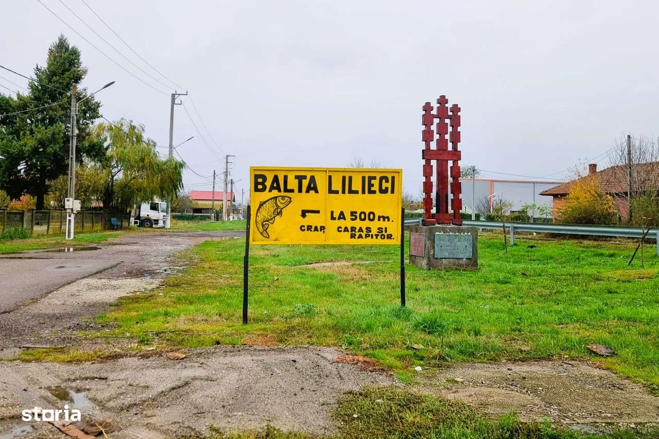 Vanzare teren de COLT 682mp Balta Lilieci Sat Lilieci Sinesti Ialomita-4