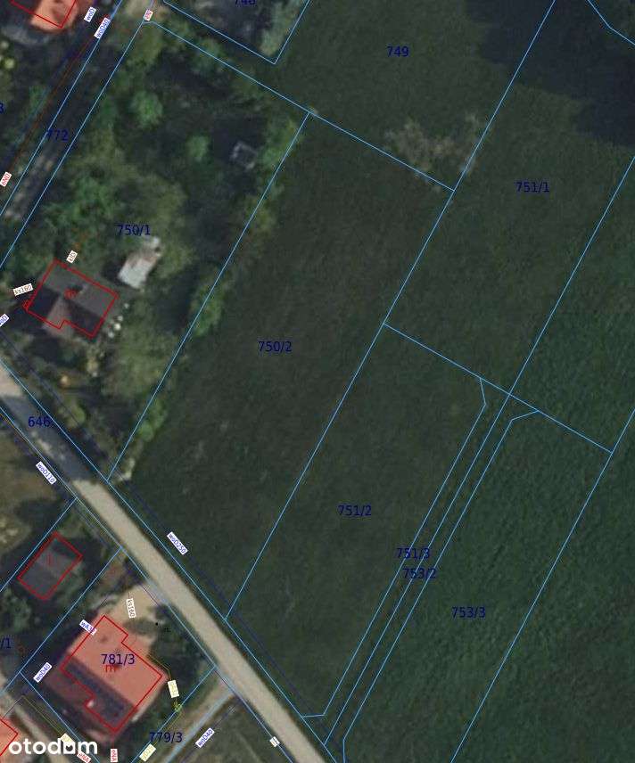 Działka Bierna k. Łodygowic 16,5 Ar