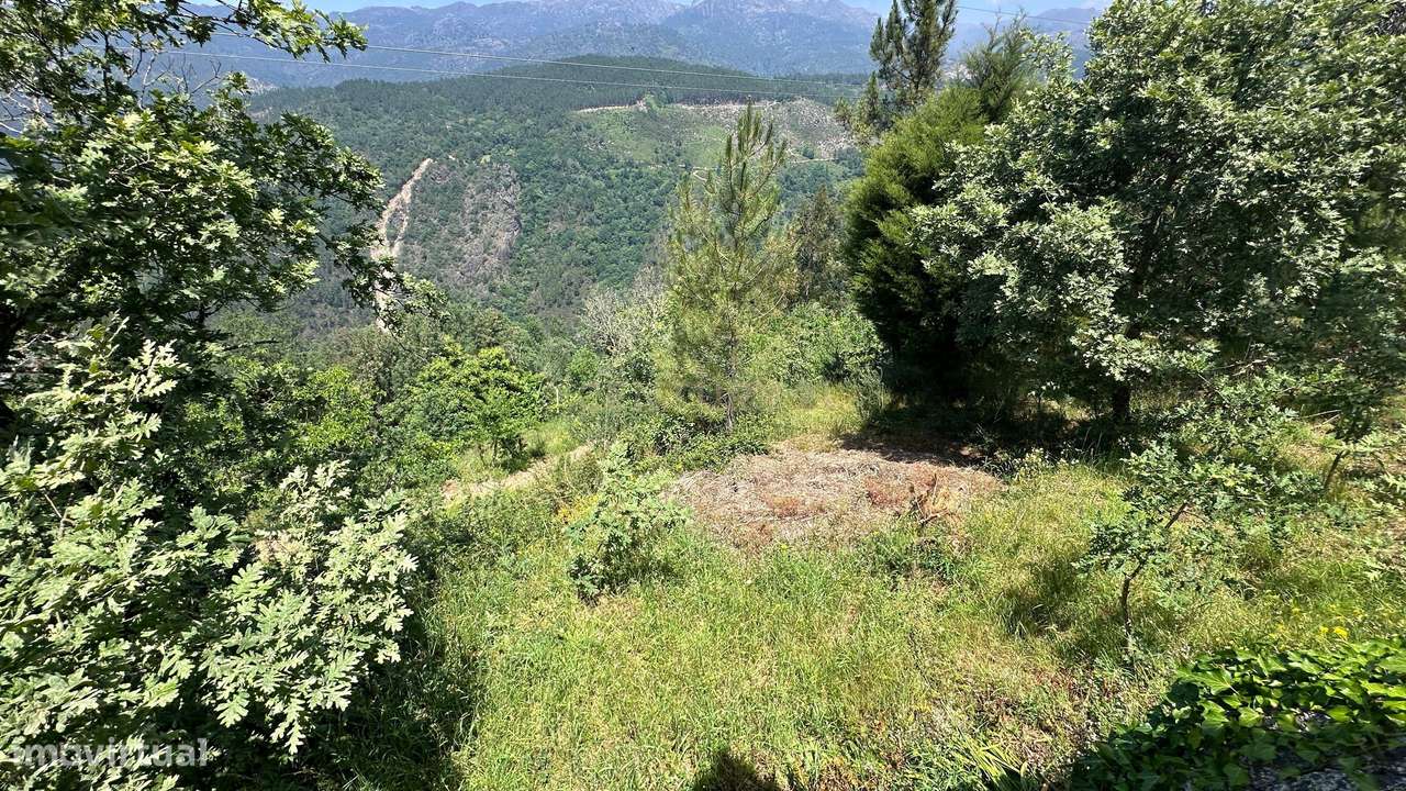 O Refúgio Perfeito no Topo do Gerês: Onde o Silêncio Encontra a Imens-30