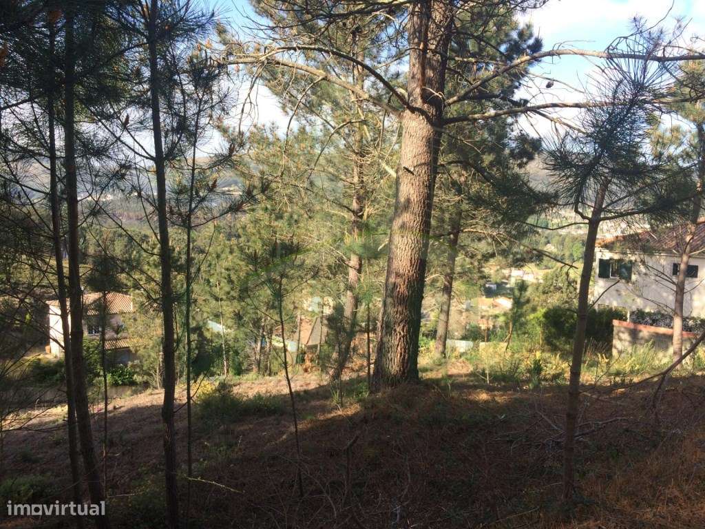 Lote de Terreno para Construção - Grande imagem: 4/10