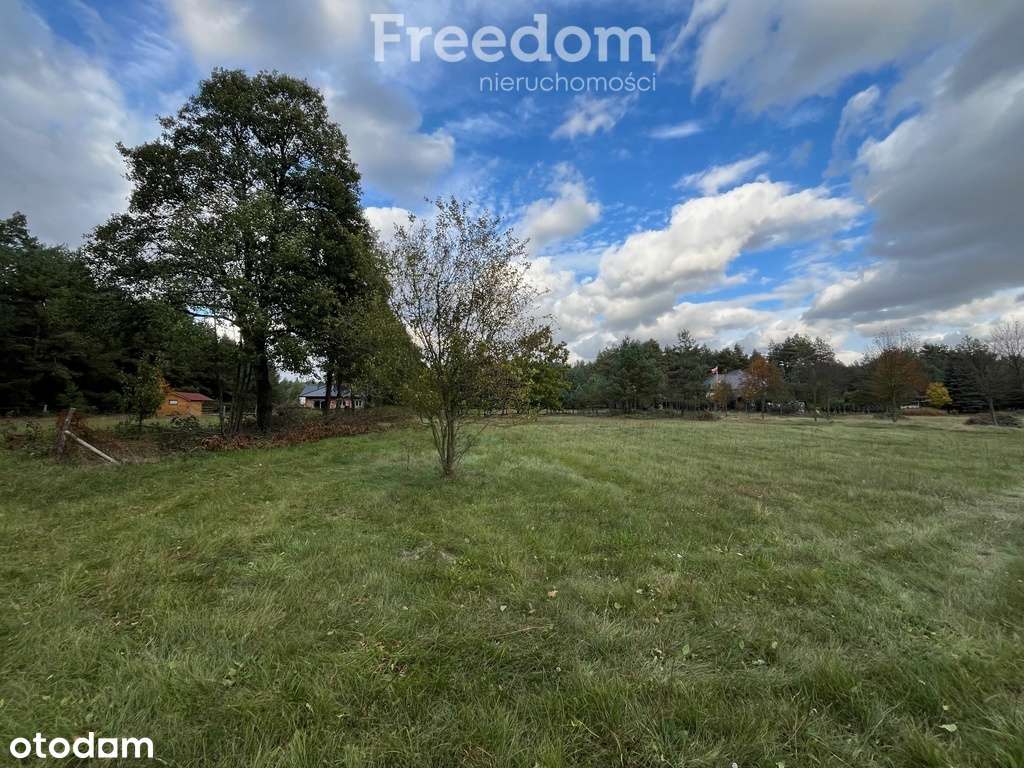 Przepiękna działka w otulinie lasu-Zarośle Cienkie - Pełny obrazek: 4/12