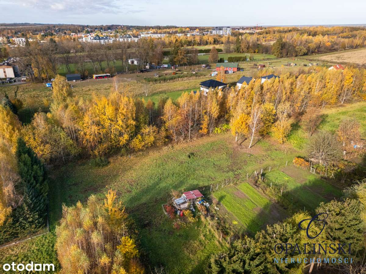 Kameralna okolica | Krakowska | WZ | Zieleń-1