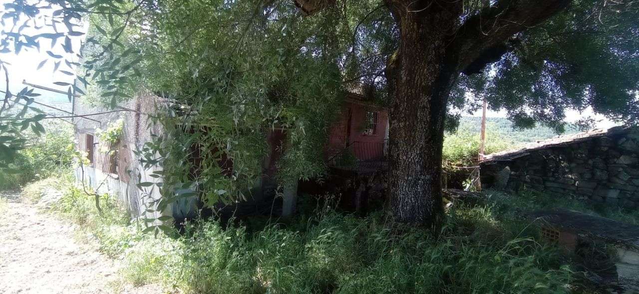 Quinta com moradia para restauro em Vila Boa do Mondego - Grande imagem: 5/57