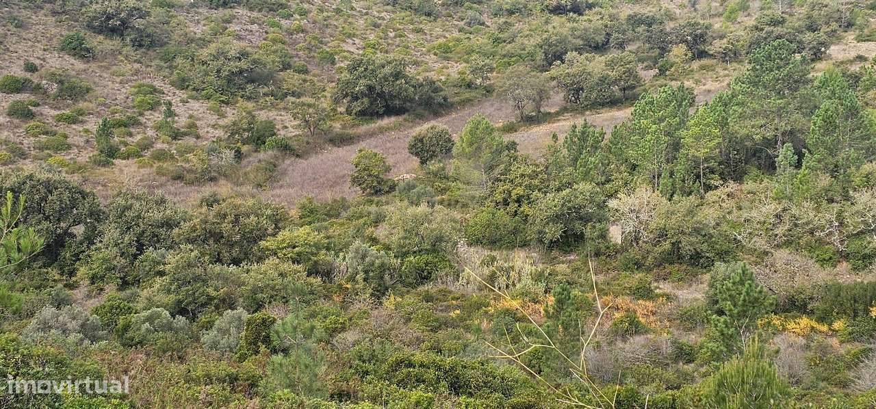 Terreno em Loures: 14.240m² com Vista Campestre e Frutais - Grande imagem: 4/7
