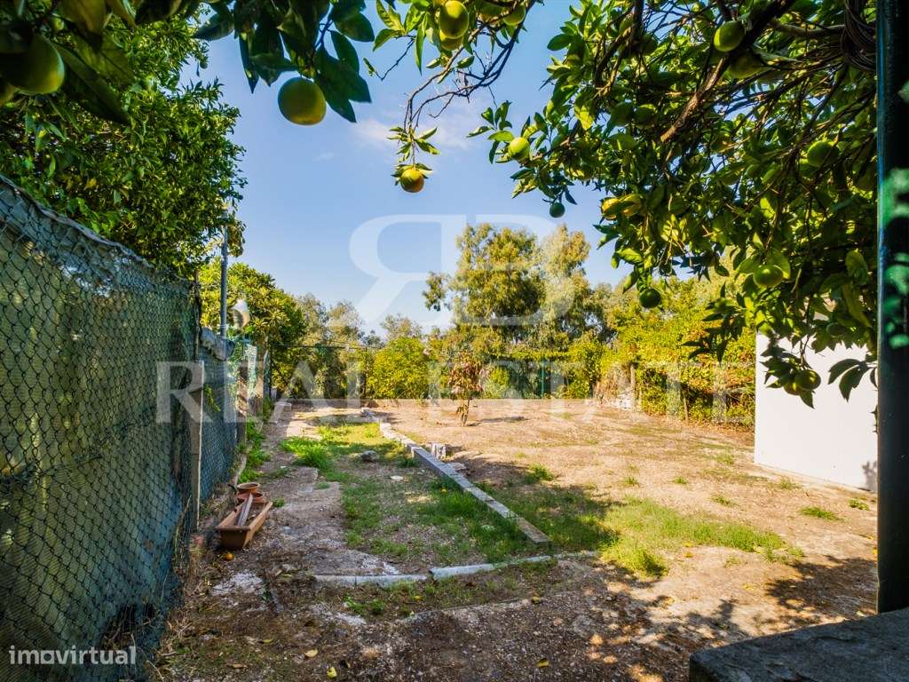 CASA T5 + JARDIM +VISTA + ADEGA + GARAGEM |ANEXO - V.N.AZEITÃO-28