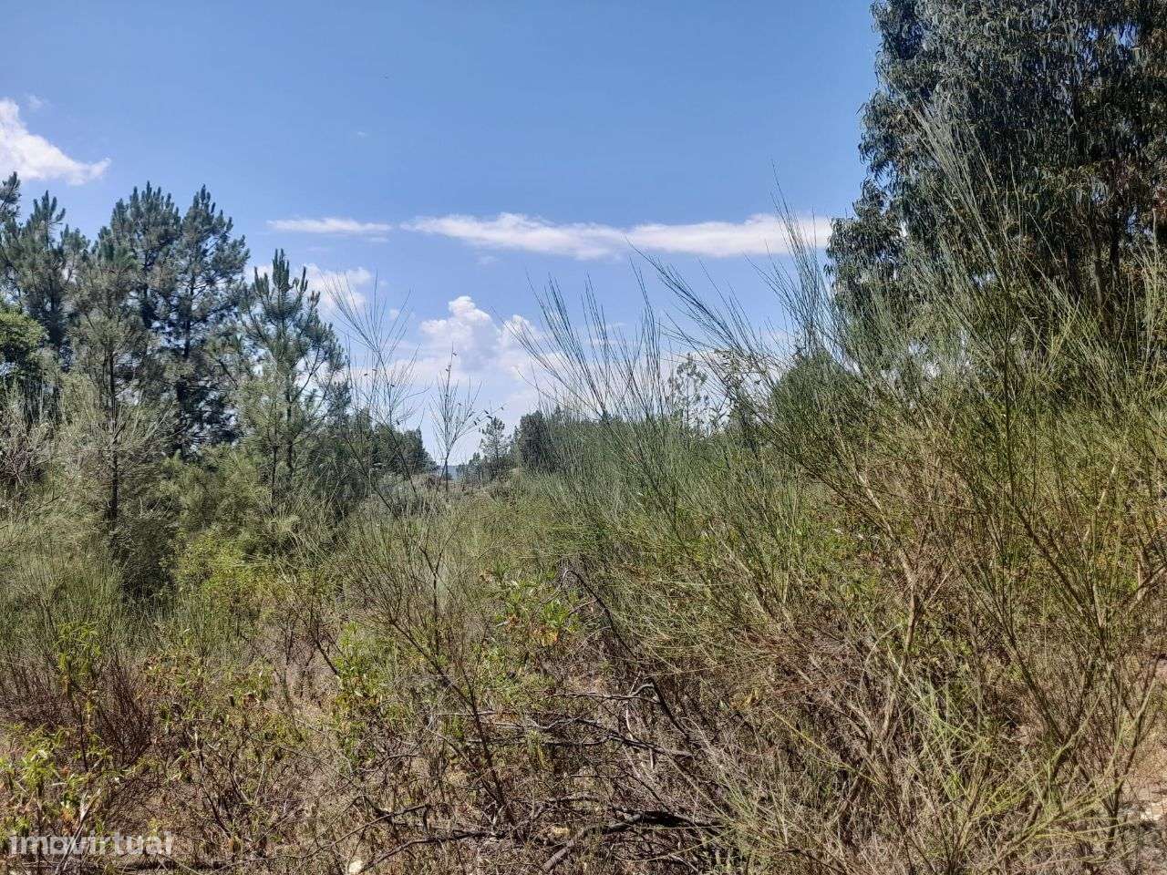 Terreno - Grande imagem: 2/4