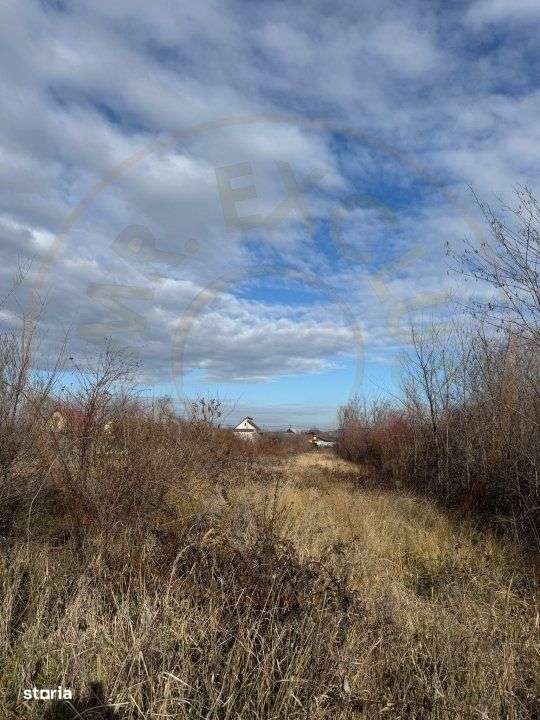 Teren intravilan Bananai - 2939 mp - Imagine principală: 1/3