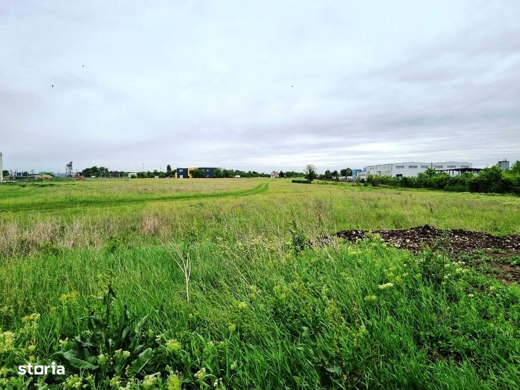 Magurele Atomistilor 5000mp - Imagine principală: 2/6