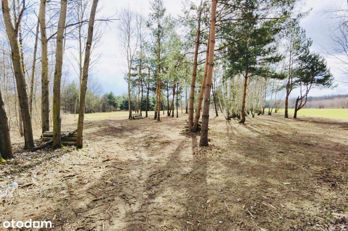 GŁOSKÓW, POD WARSZAWĄ, BEZPOŚREDNIO Sprzedam działki budowlane - Pełny obrazek: 1/7