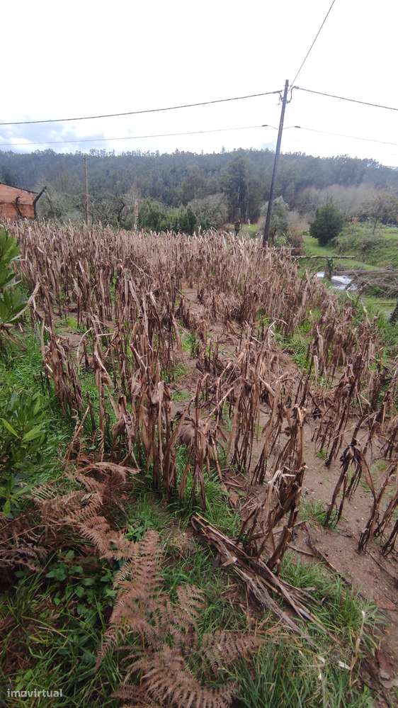 Casa em Pedra junto a Riacho em Travanca, Oliveira Azeméis - Exlusivo - Grande imagem: 5/18
