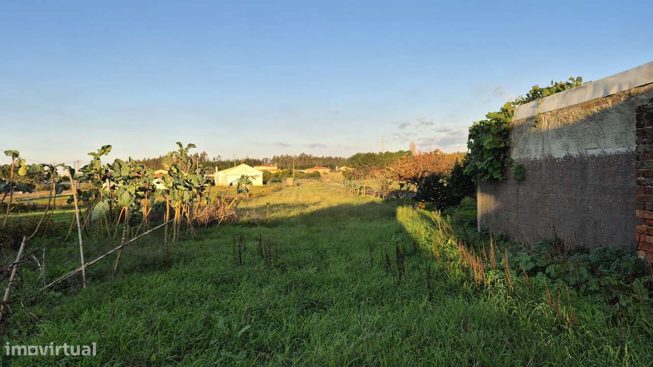 Casa Antiga em Carriço, Pombal - Oportunidade Única-13