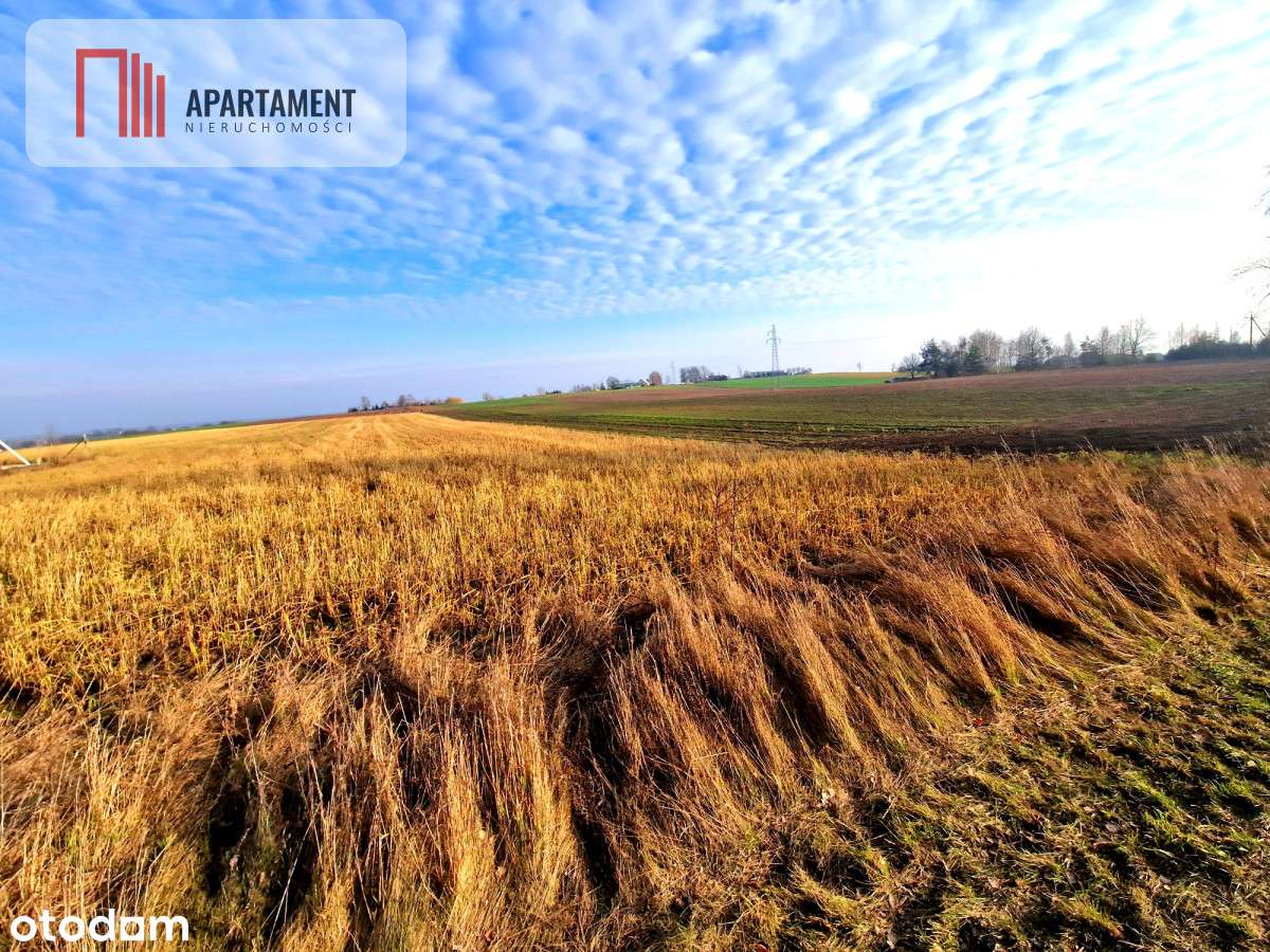 Tylko U Nas! Miejsce na Twój wymarzony dom! - Pełny obrazek: 3/4