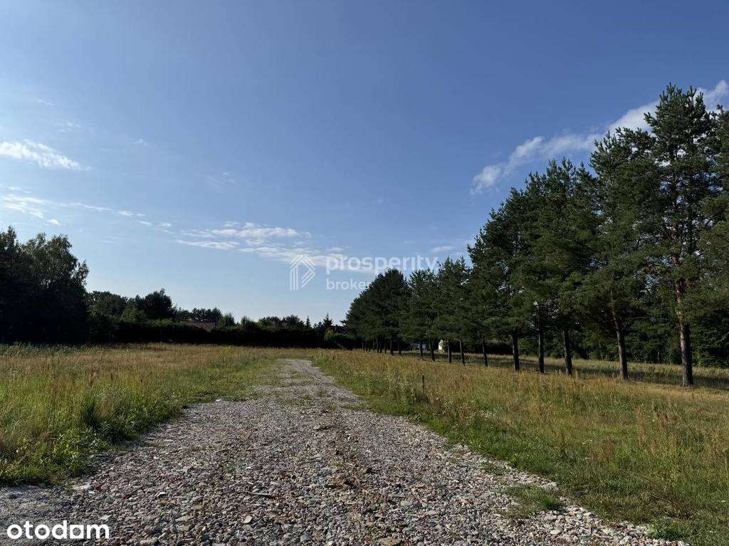 Działki budowlane Piskórka - Pełny obrazek: 4/4