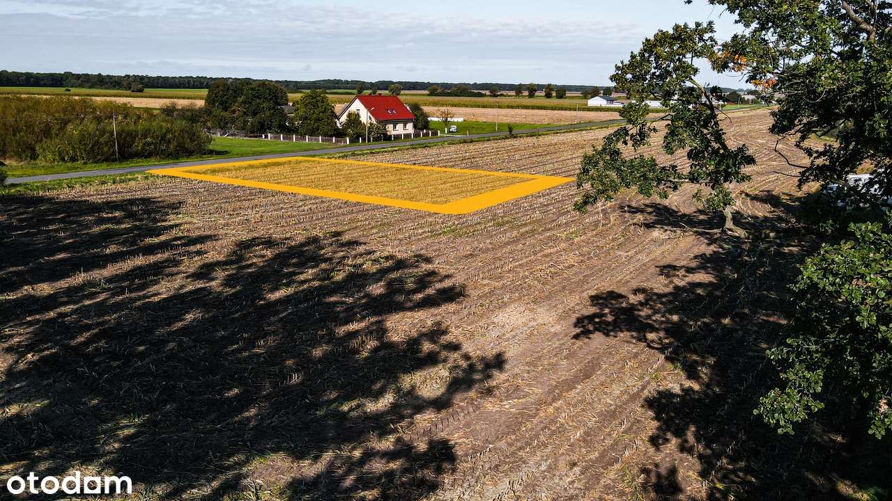 Nowy Folwark, gm. Września, pow. wrzesiński, woj. wielkopolskie-16