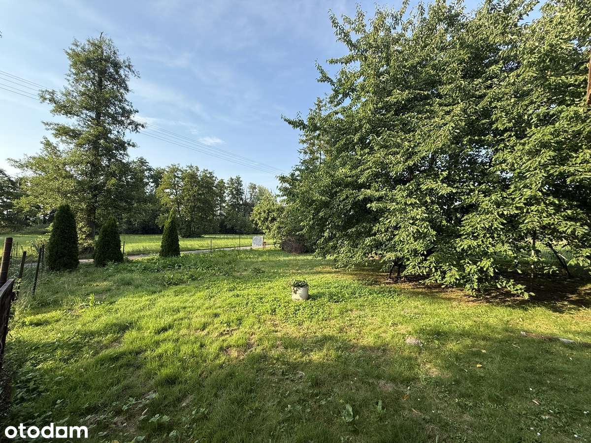 Dom z potencjałem + duża działka 2925 m² | Janków, gm. Pleszew-5