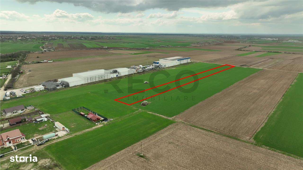 Teren pentru parcelat in Apateu - Imagine principală: 4/5