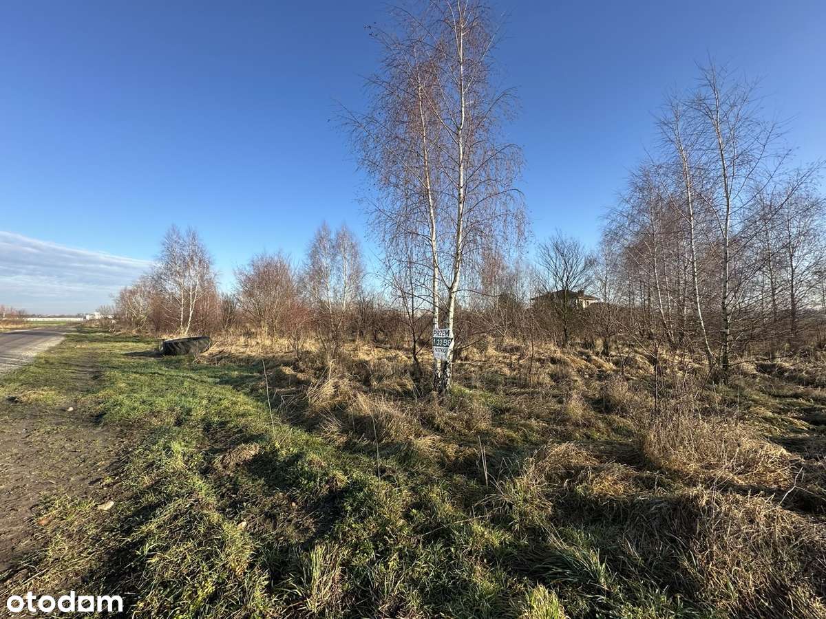Działka budowlana w Lusowie pod Poznaniem-5