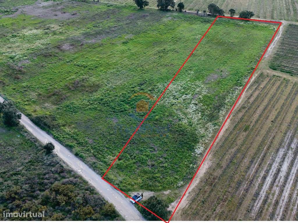 Terreno de 6.430m² no Pinhal Novo - Montinhoso, com projeto aprovad... - Grande imagem: 3/3