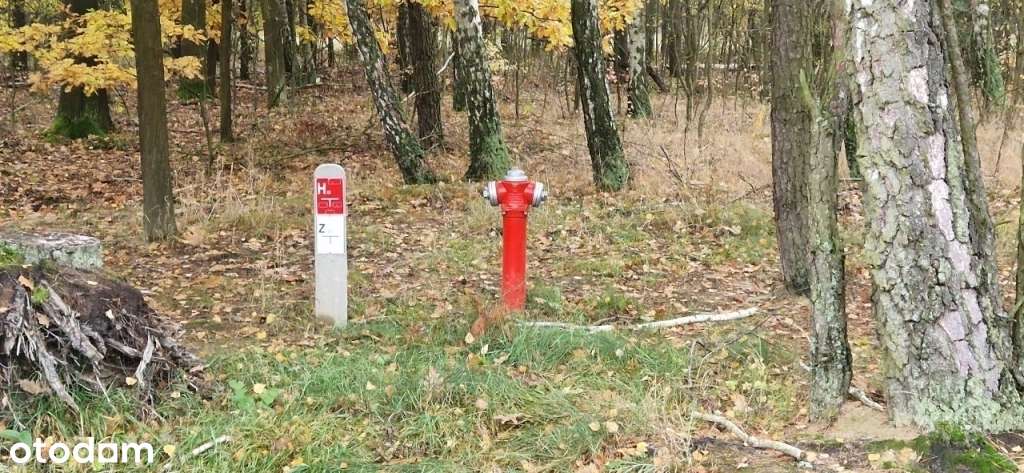 Budy Grzybek ul.Żbika  1512mkw MPZP - Pełny obrazek: 4/5