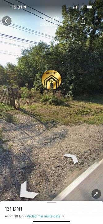 4 X Loturi Teren Intravilan in Saftica – Balotesti |  100m de DN1 - Imagine principală: 4/11