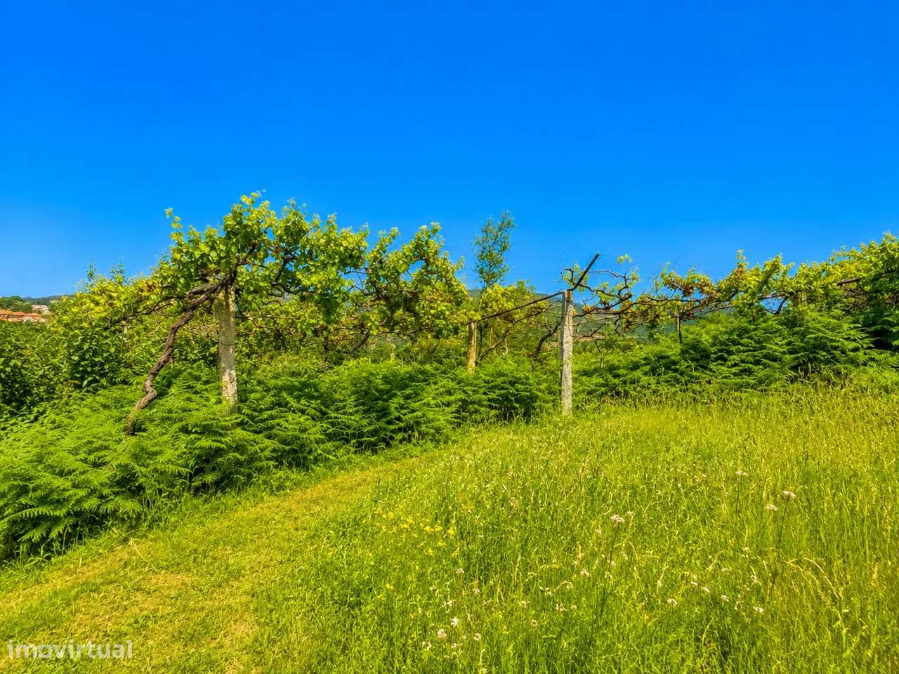 Quinta com Moradia T4 em Pedra, História e Natureza em Harmonia em Arc-36