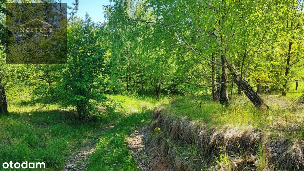 Działka Z Warunkami Zabudowy 2.5Ha  Linią Brzegową-4